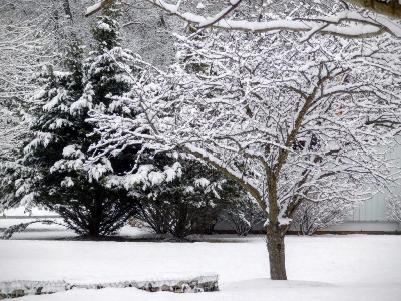 ダース・ベイダーの呼吸を10時間繰り返すビデオ